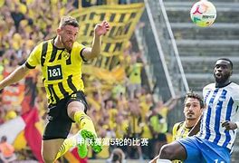 霍芬海姆霸气开路,踏破重围势不可挡 霍芬海姆霸气开路,踏破重围势不可挡